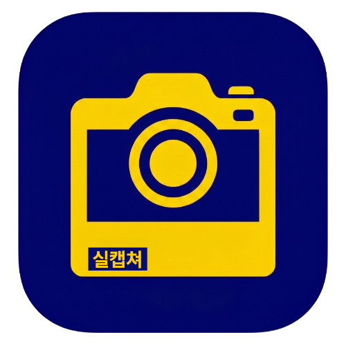 실캡처